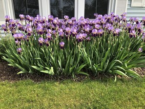 Beautifully manicured gardens