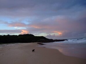 Back Beach