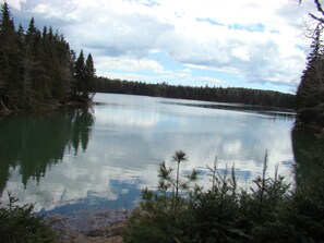  Tranquil Pyne Cove