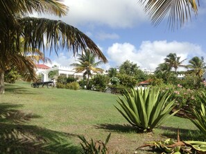 Lawn and garden near the entrance