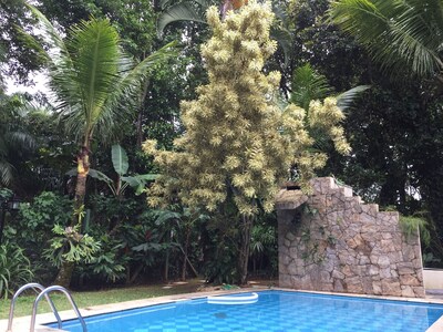 Casa de Praia Familiar! Ótima instalação e ambiente!Venha conhecer suas férias!!