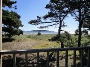 Beach view from the cottage porch.