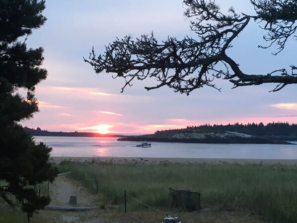 Morning View From Porch.