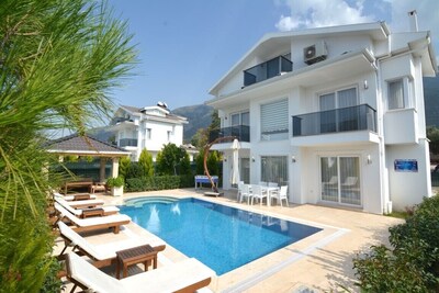 Picture of villa