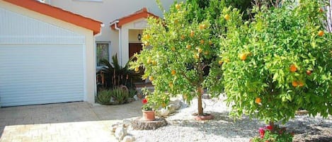 Paphos Holiday Villa Hieros Kepos