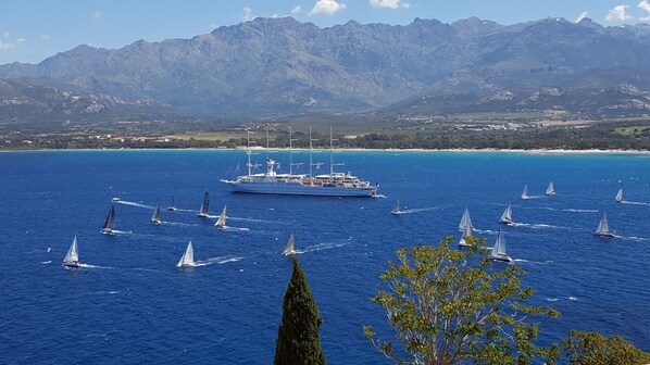 Vue depuis l'appartement