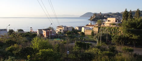 panorama