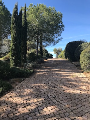 Tree-lined drive up to the villa