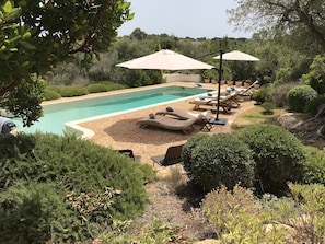 Salt water pool in tranquil surroundings with loungers and umbrellas