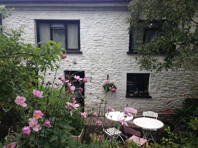 Gemütliches Ferienhaus im herrlichen West Wales, perfekt für Berge oder Küste, für 8-10 Personen 