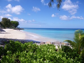 The beach accross the road