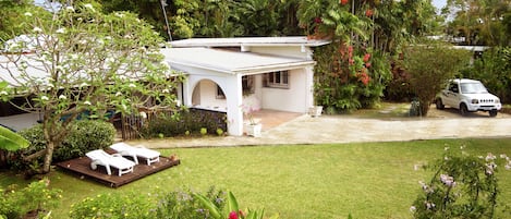 Aerial view of Mangoes