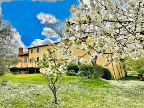 Boendeområde