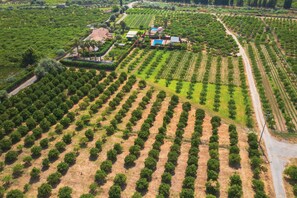 view from the above
