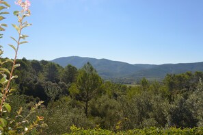 Landscape from the swimming pool. Notre Dame des Anges is the top summit.