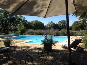 Pool with seating for sun and shade 