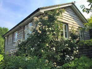 Berry Farm Cottage in Bloom