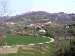 Landscape around the farm