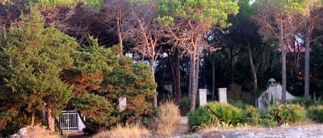 Property grounds