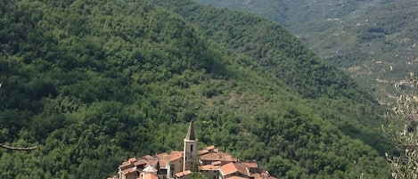 Apricale as seen from above