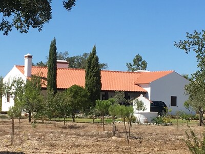 Fantastic house w / pool in quiet and hot Alentejo plain near Évora