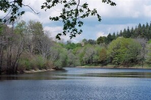 Sjö