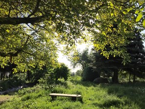 Blick in den Garten vom Nussbaum aus