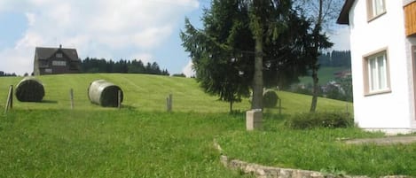 Ferienhaus Lahr im Sommer 01