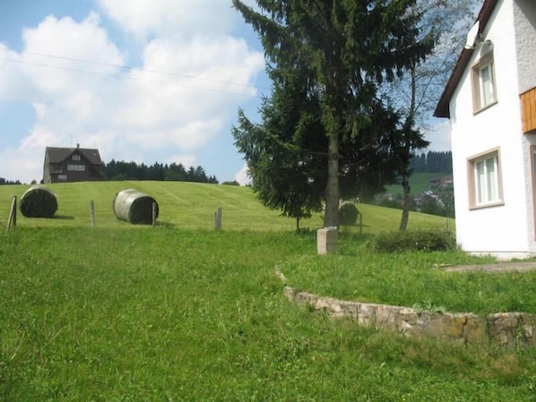 Ferienhaus Lahr im Sommer 01