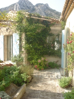 Terrasse vue partielle