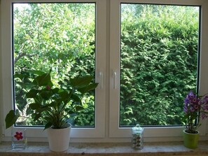 Fenster im Wohnzimmer - Blick zur Gartenhecke