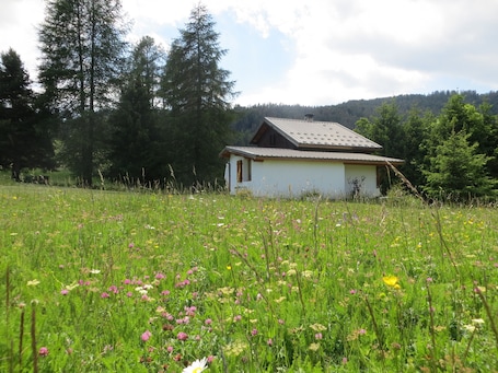 la maison au milieu des pres
