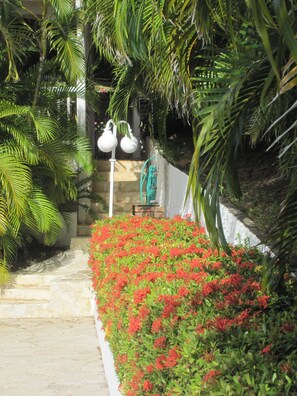 Jardin et Barbecue