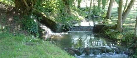 Jardines del alojamiento