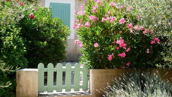 Entrée du mazet entourée de ses lauriers roses