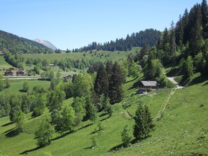 Parco della struttura