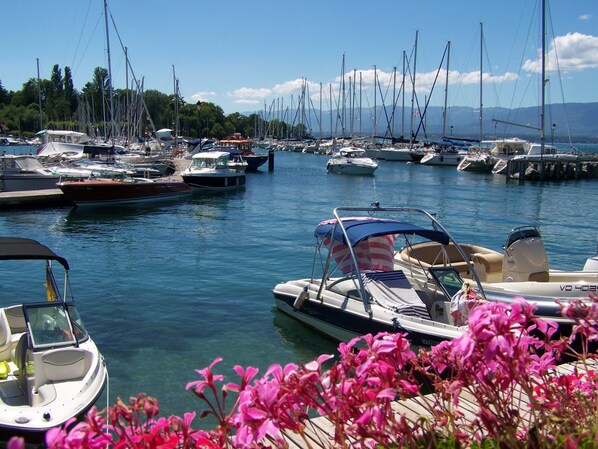 Marina