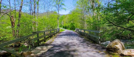 Cross the bridge over the creek and you're almost there...