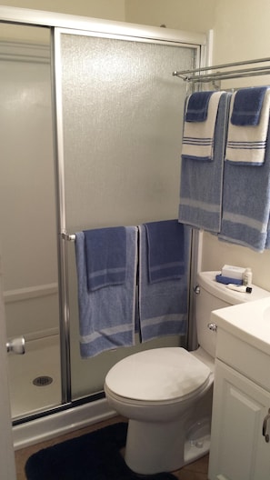 Guest Bathroom with Walk-in Shower