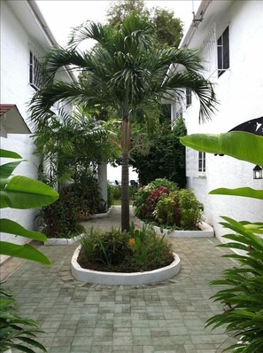 Entry Walkway