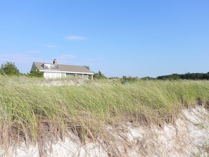 from the edge of the beach