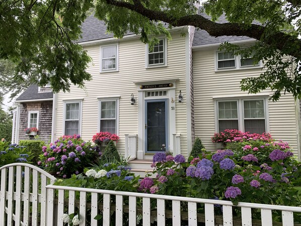 Flowers everywhere all around the house. 