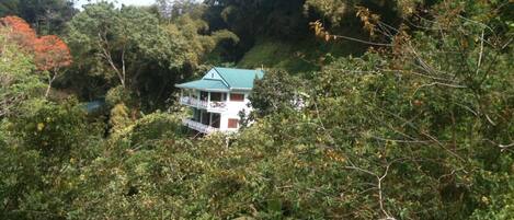 View of Charlotteville Lookout