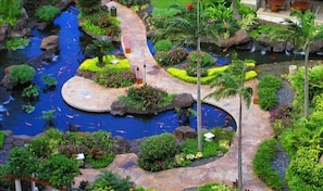 The koi ponds are spectacular in the evening light