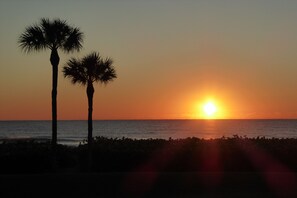 Enjoy Sunset views from the private patio! The same two palm trees to the beach