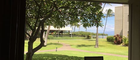 Lanai with ocean view