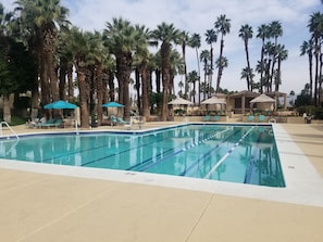 This is the main pool at the clubhouse.  There are over 40 pools to choose from.