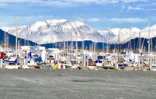 Small boat harbor