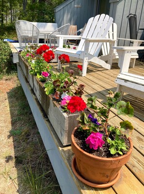 Sunny deck with colorful flowers