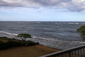 View from lanai looking at ocean to the north.
